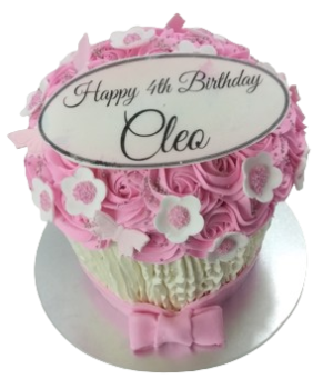 Giant Cupcake - choose your colour/s and extras