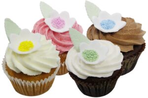 Vegan Gluten Friendly Cupcakes