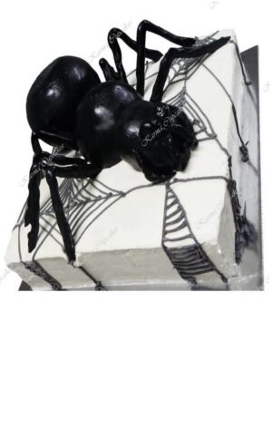 Slab and Half Slabs - TWO (2) BUSINESS DAYS NOTICE REQUIRED