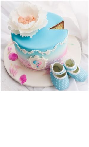 Baby and Gender Reveal- TWO (2) BUSINESS DAYS NOTICE REQUIRED