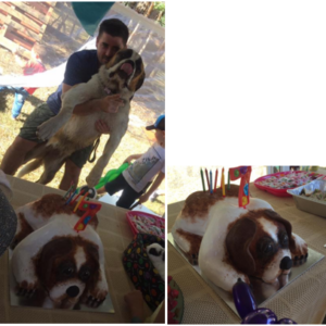st bernard cake