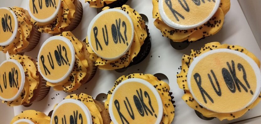 Regular size R U Ok? Cupcake - Round Logo -Vanilla/Chocolate - Minimum 6