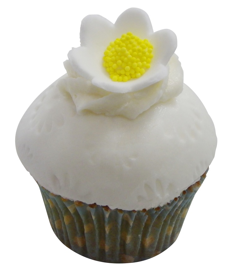 Traditional Vanilla & Custard cream