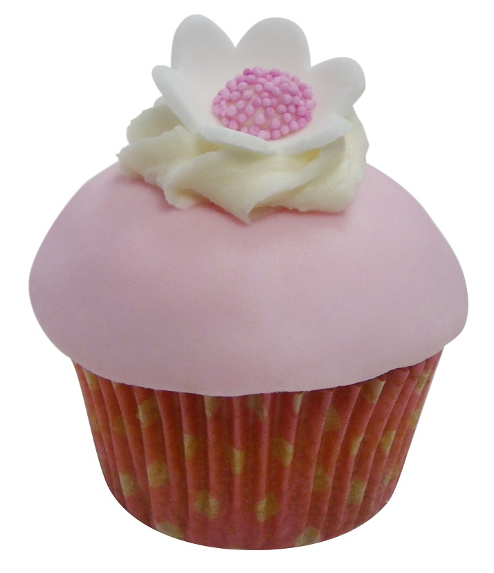 Blooming Vanilla and Raspberry Blossom