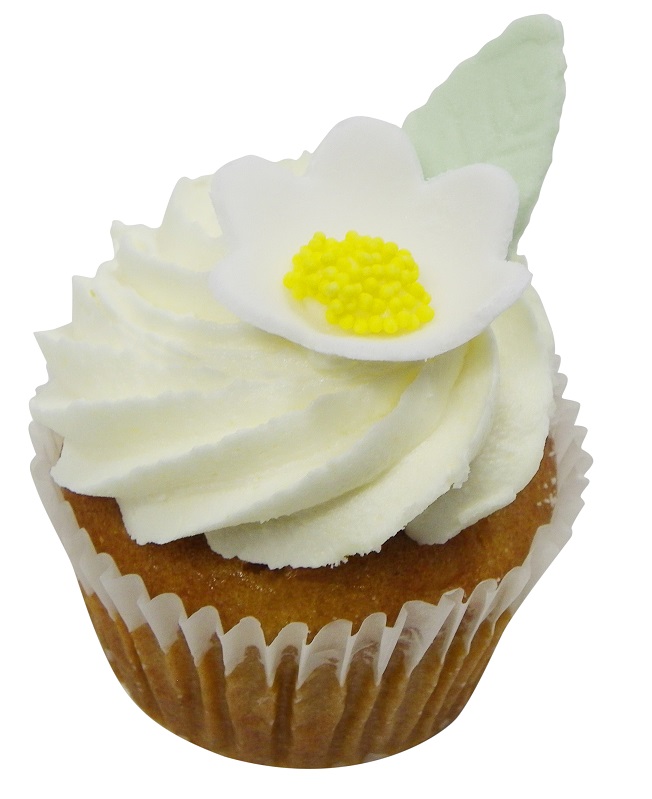 Vanilla & Lemon Natural - Vegan G/F*