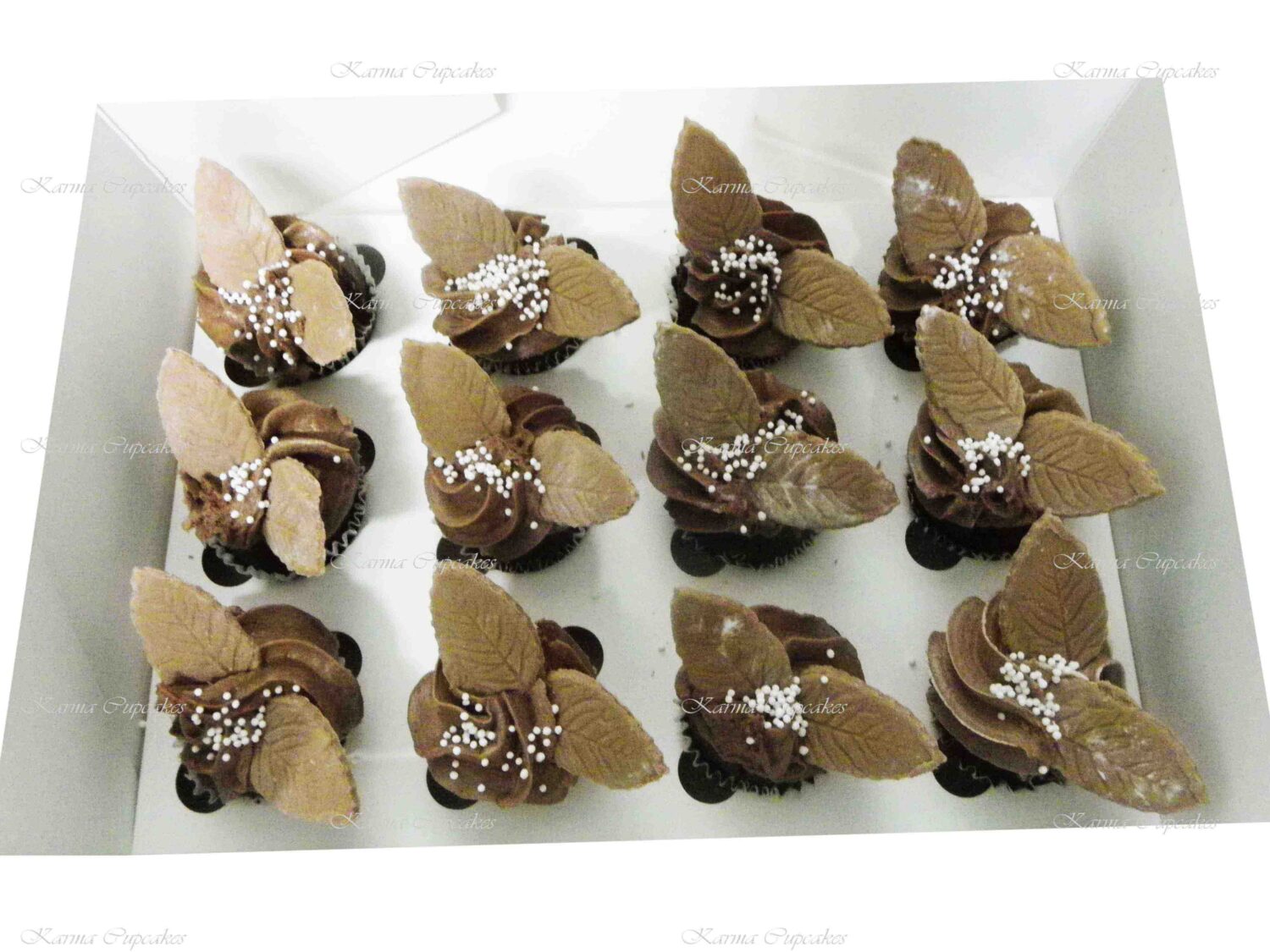 G/F* Mini Vegan Chocolate (and or vanilla) Cupcakes with leaves or flower or stars.