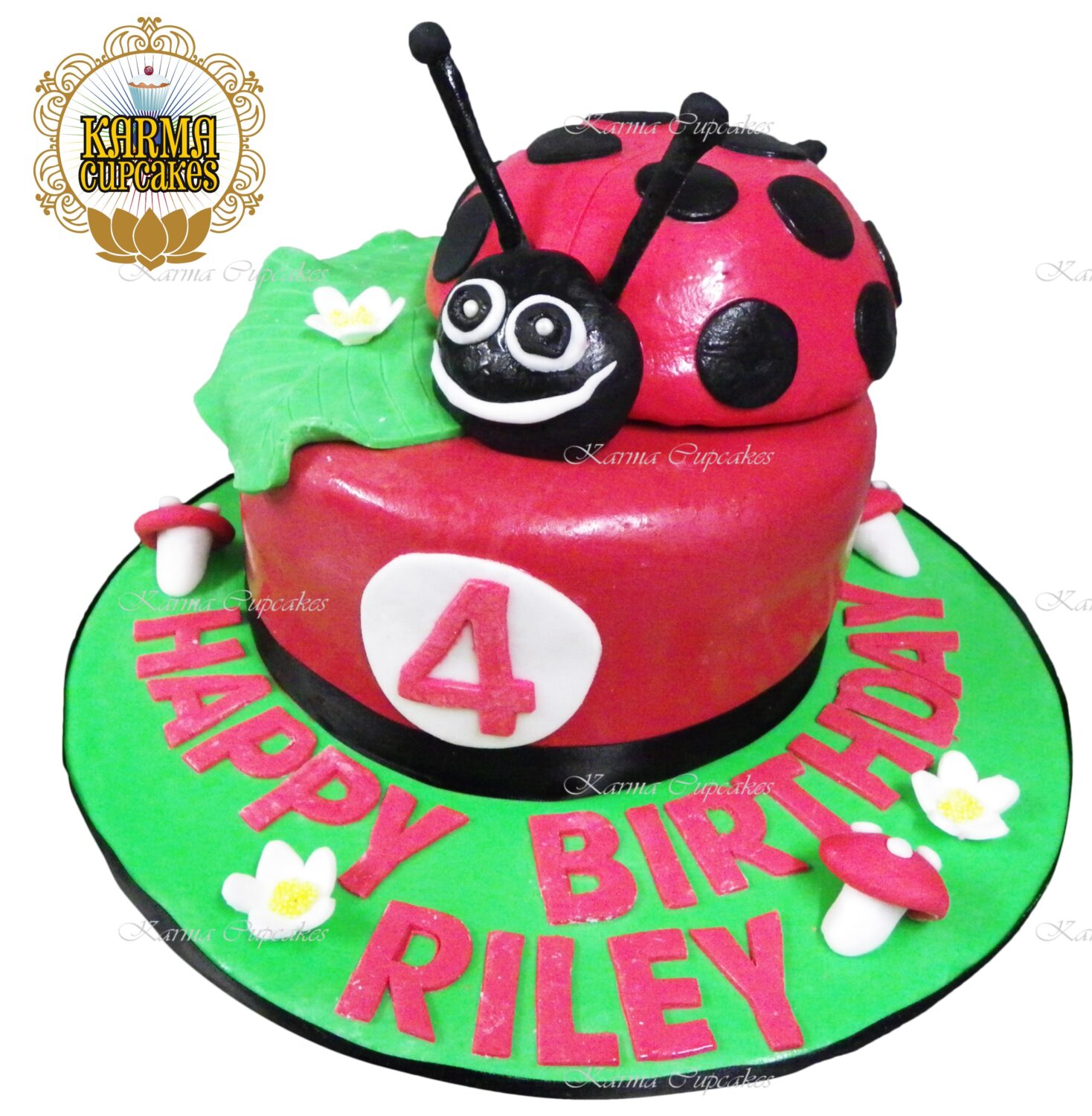 Ladybug 3D Birthday Cake