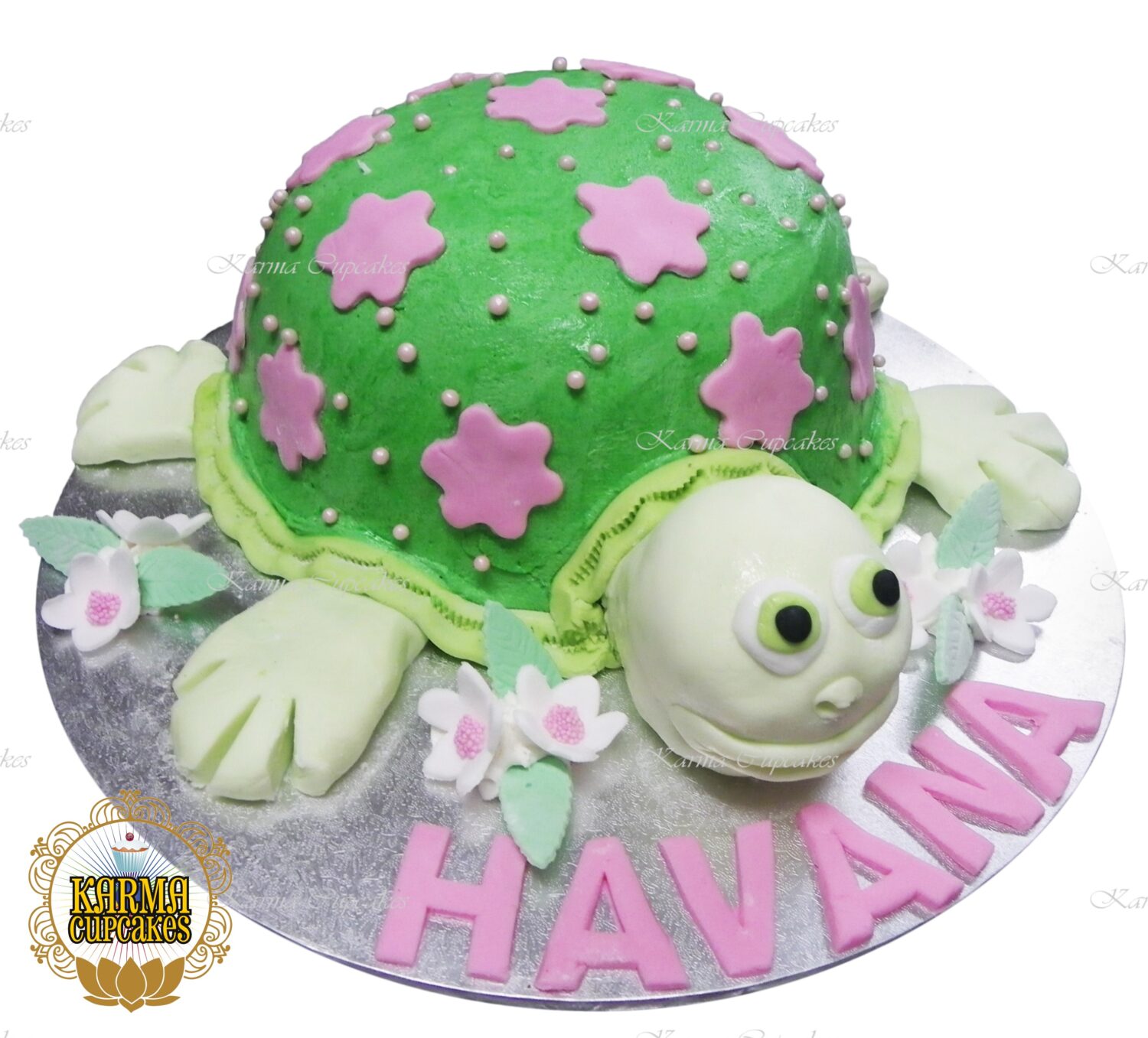 3D Turtle Birthday Cake