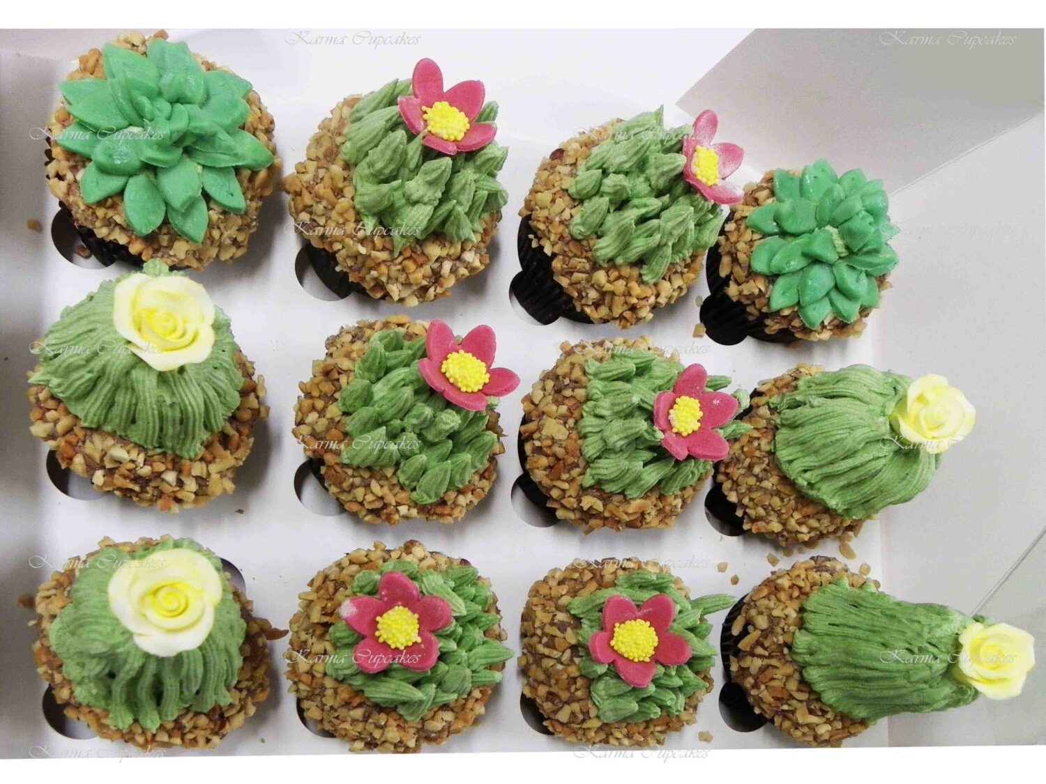 Cactus and Succulents Cupcakes