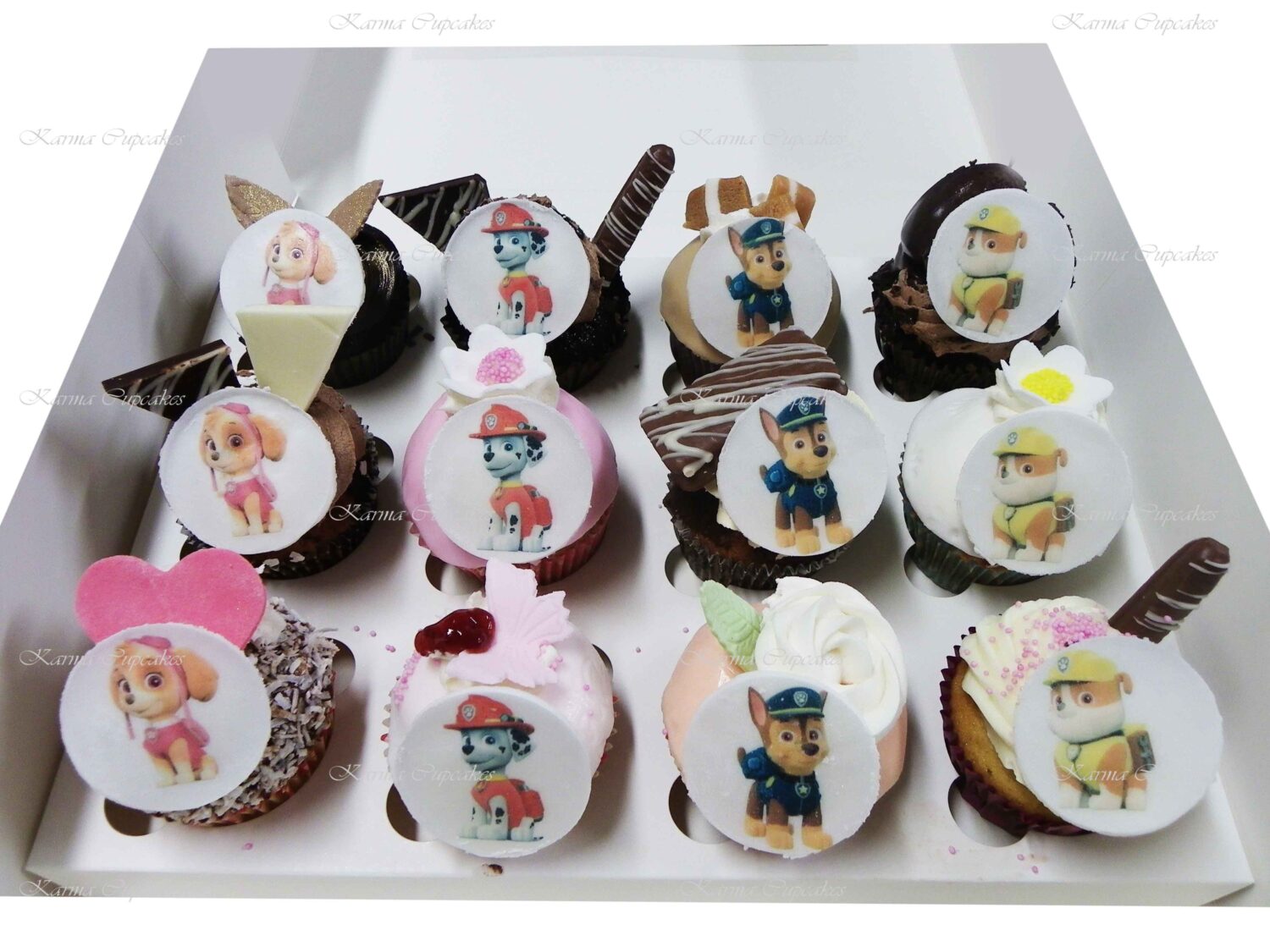 Paw Patrol Cupcakes on mixed Gourmet Cupcakes