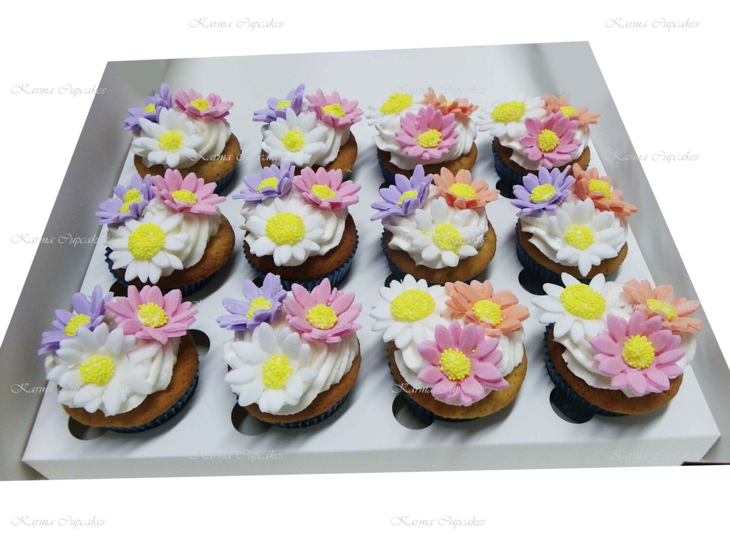 Daisy Cupcakes